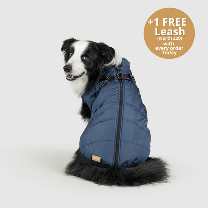 Winter Warm Pet Dog Waterproof Jacket With Harness