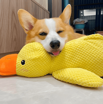 Calming Duck Toy