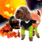 Hot 50% off Pet Dog Pumpkin Halloween Costume-Free Shipping