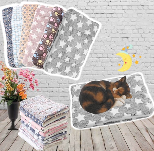 🔥Sale 49% OFF - Cosy Calming Cat Blanket